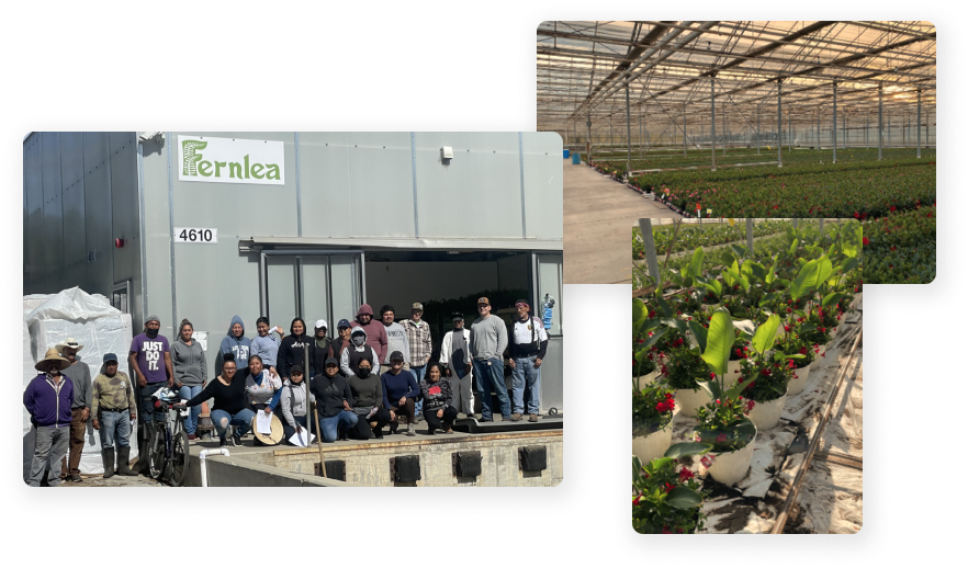 Collage photo of greenhouse, plants, and team employee photo