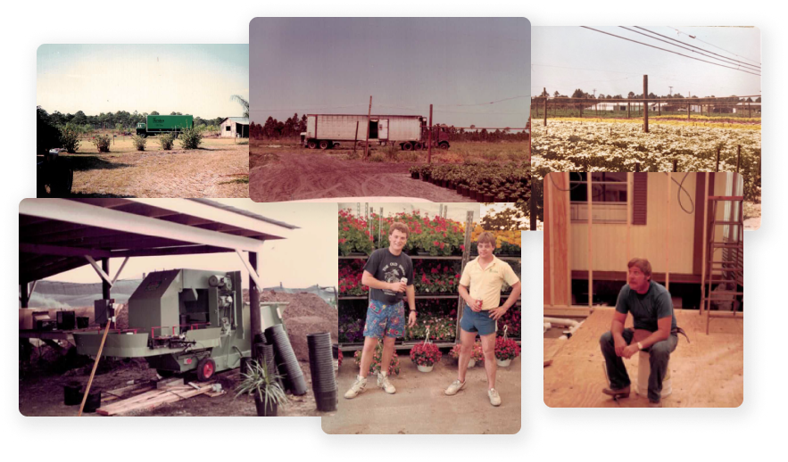 Older photos in a collage with old greenhouse trucks, employees, and flower fields