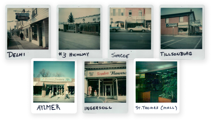 older collage style photo of all previous Fernlea Flower storefront locations in various towns