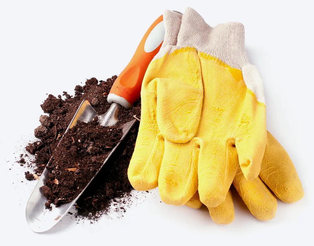 garden trowel and gardening gloves