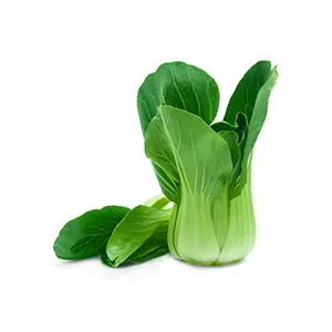 bokchoy standing with leaves sitting to the left
