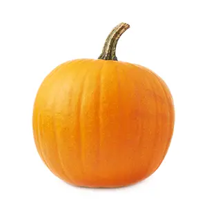 small orange pumpkin with long brown stem at the top