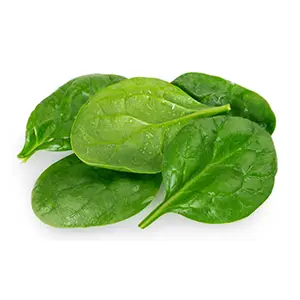pieces of spinach laying on top of each other